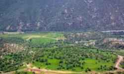 شناسایی 77 هزار هکتار ذخیره‌گاه جنگلی در لرستان