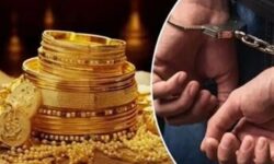 فریب با وعده افزایش ثروت و رمالی/ سرقت 1.2 کیلو طلا
