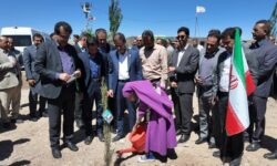 مشارکت مردمی کلید طلایی حفاظت از مراتع استان کرمان