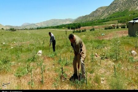 مقابله با زمین‌خواری؛ 124 هزار متر مربع اراضی ملی آزاد شد