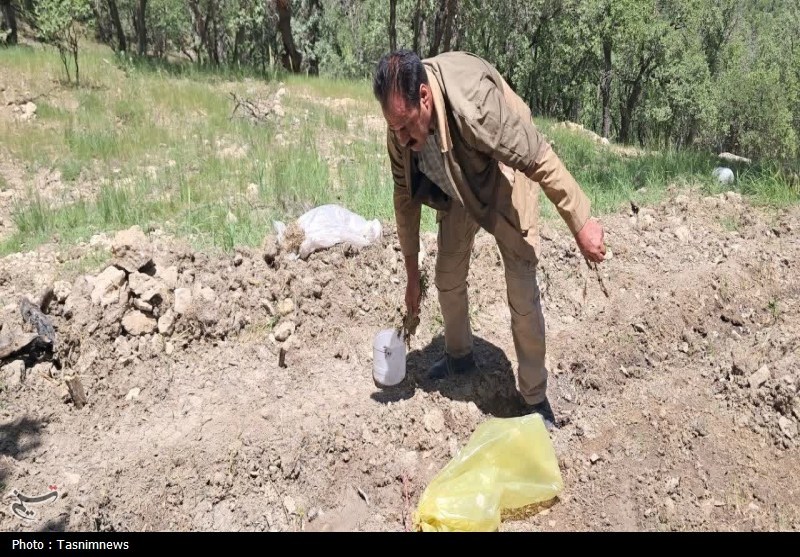 سازمان منابع طبیعی , 