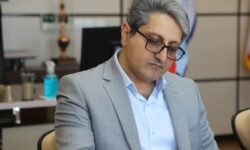 نرخ شکست شرکت‌های فناور خراسان جنوبی به کمتر از نصف جهان رسید