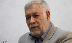 نماینده مردم کرمان در مجلس: 60 تا 80 درصدریزگرد ها منشأ خارجی دارد