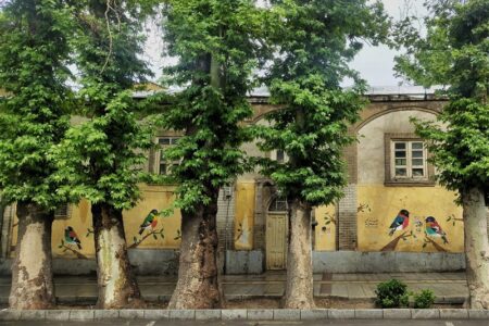 چنارهای همدان زیر چتر درمان علمی؛ آغاز هویت‌سازی برای میراث سبز شهر