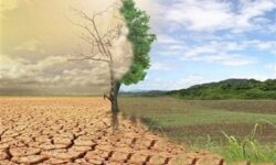 526 هزار هکتار اراضی بوشهر در کانون بحرانی فرسایش قرار دارد