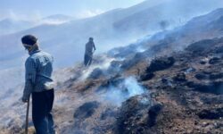 آتش‌سوزی در منطقه حفاظت‌شده مانشت و قلارنگ ایلام مهار شد
