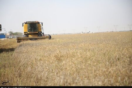 آغاز واریز پول گندم به حساب کشاورزان گلستانی