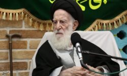 آیت‌الله شبیری زنجانی: با همراهی مردم و‌عنایت خداوند مشکلات حل می‌شود