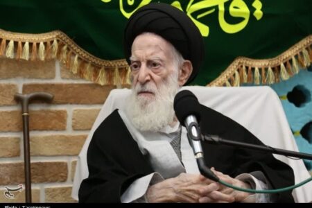 آیت‌الله شبیری زنجانی: با همراهی مردم و‌عنایت خداوند مشکلات حل می‌شود