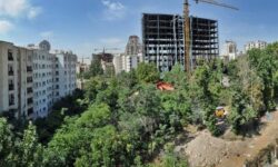 افزایش 15 درجه‌ای دما بر اثر تبدیل یک باغ به ساختمان!