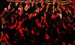 امام حسین(ع) بزرگترین نقطه اشتراک امت اسلام/محور وحدت شیعه و سنی