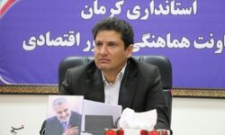 اولویت تأمین نیازهای استان کرمان از ظرفیت‌های تولیدی بومی