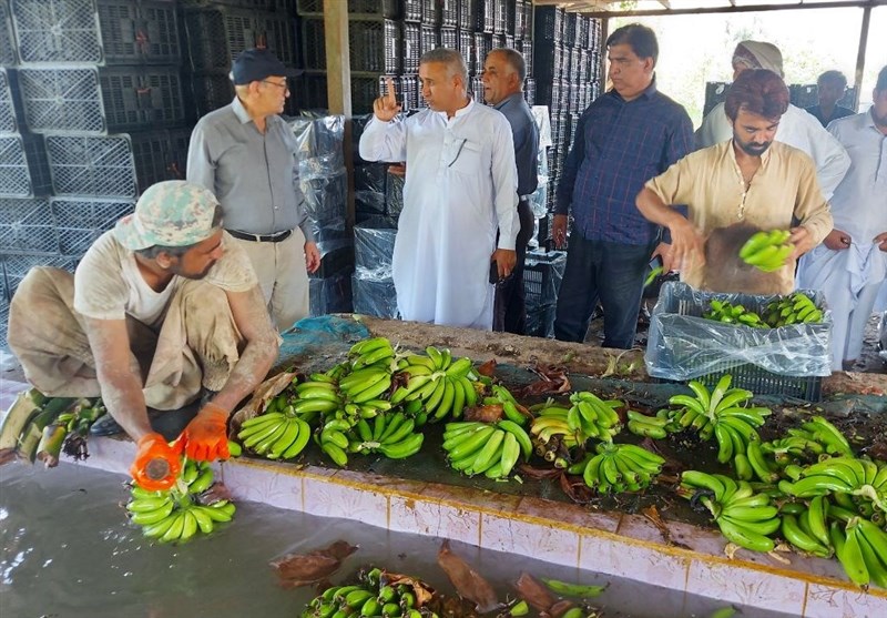اخبار بلوچستان , اخبار چابهار , 