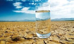 بحران آب در جنوب بلوچستان؛ برخورد بی‌تعارف با موزکاران متخلف
