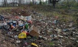 برخورد قاطع دادگستری خوزستان با تخلفات زیست‌محیطی