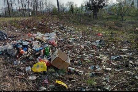 برخورد قاطع دادگستری خوزستان با تخلفات زیست‌محیطی