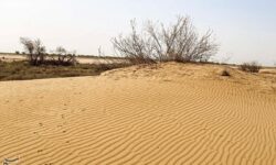 تثبیت 33 هزار هکتار از کانون‌های بحرانی شرق ورامین با بیابان‌زدایی