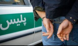 تشدید اقدامات پلیس لرستان علیه سوداگران مرگ و مخلان اقتصادی