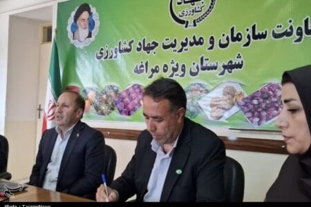 توسعه زیرساخت‌های کشاورزی مراغه؛ از صادرات سیب تا احداث شهرک گلخانه‌ای