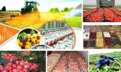 جهش تولید در کهگیلویه با معرفی 837 میلیاردتومان تسهیلات در بخش کشاورزی