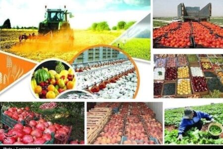 جهش تولید در کهگیلویه با معرفی 837 میلیاردتومان تسهیلات در بخش کشاورزی