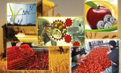 جهش صنایع تبدیلی کشاورزی خراسان رضوی/ظرفیت فرآوری 8.9 میلیون تن