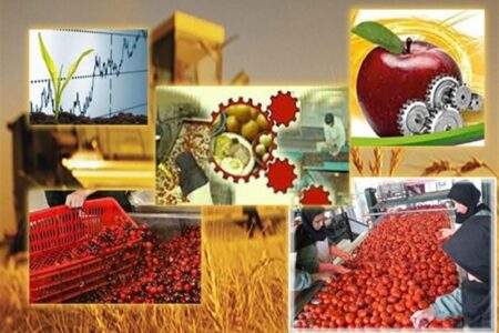 جهش صنایع تبدیلی کشاورزی خراسان رضوی/ظرفیت فرآوری 8.9 میلیون تن