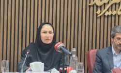 جهش نشریات برتر دانشگاه بیرجند و انعقاد قراردادهای 50 میلیاردی