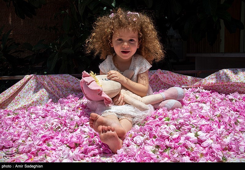 اخبار استان مازندران , اخبار ساری , 