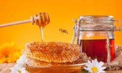 عسل زرشک و عناب خراسان جنوبی شناسنامه‌دار می‌شود