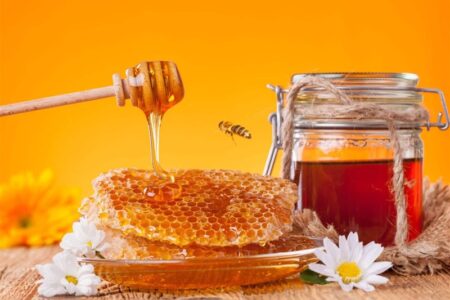 عسل زرشک و عناب خراسان جنوبی شناسنامه‌دار می‌شود