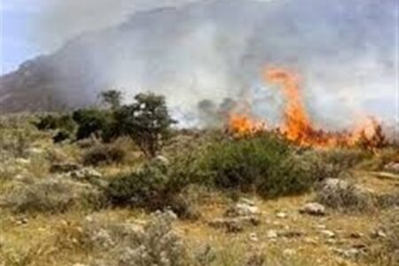 مهار آتش‌سوزی ارتفاعات طارم سفلی در استان قزوین