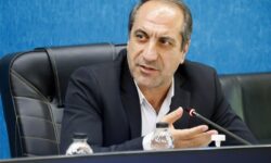 نتایج سیاست‌های جوانی جمعیت باید در آمار ازدواج و طلاق دیده شود