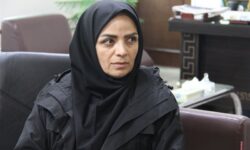 نخستین نمایشگاه توانمندی هنرمندان مشاغل خانگی در همدان