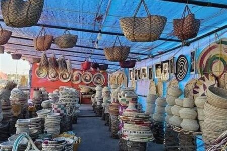 پرداخت 40 میلیارد تومان تسهیلات به هنرمندان صنایع‌دستی دشتستان