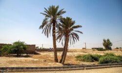 پیگیری 5 اولویت اساسی برای حل مشکلات بخش غیزانیه اهواز