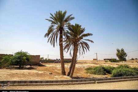 پیگیری 5 اولویت اساسی برای حل مشکلات بخش غیزانیه اهواز