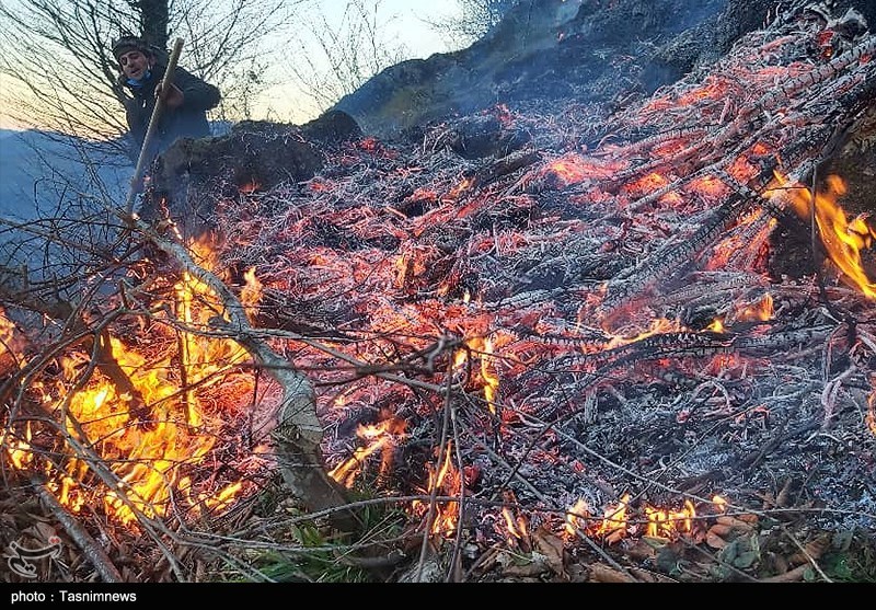اخبار استان مازندران , جنگل های هیرکانی , آتش سوزی جنگل ها و مراتع , نظام مسائل استان , نظام مسائل استان مازندران , 