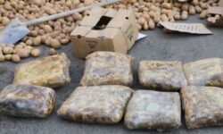 انهدام 12 باند قاچاق مواد مخدر در لرستان/ کشف 9 تن مواد افیونی