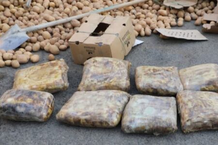 انهدام 12 باند قاچاق مواد مخدر در لرستان/ کشف 9 تن مواد افیونی