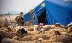 حمایت دولتی از بیمه روستاییان با پرداخت 70 درصد حق بیمه