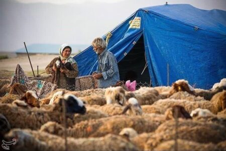حمایت دولتی از بیمه روستاییان با پرداخت 70 درصد حق بیمه