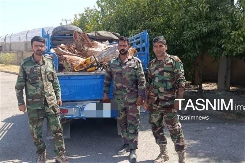 سازمان منابع طبیعی , قاچاق , 