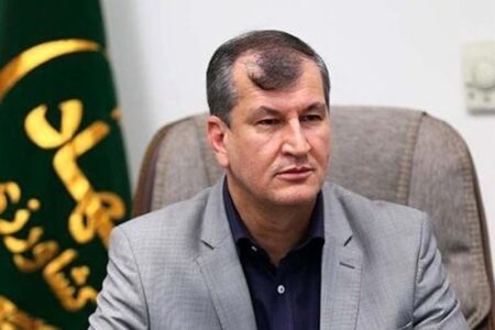 کشت آزمایشی شقایق اُلی‌فرا برای تأمین مورفین مورد نیاز دارویی کشور