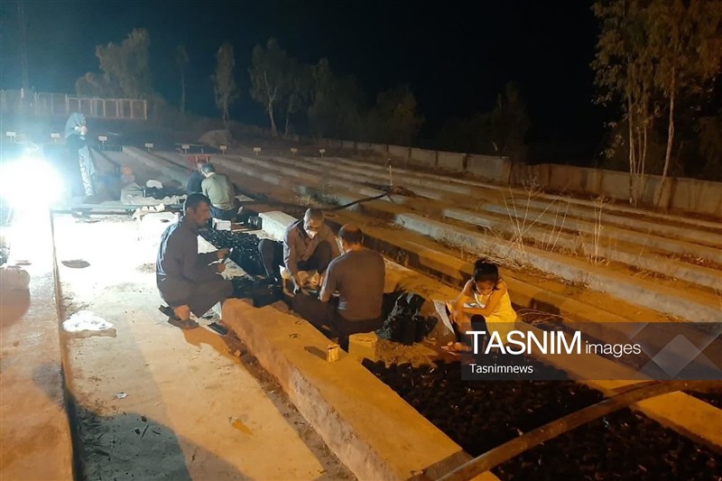سازمان منابع طبیعی , 