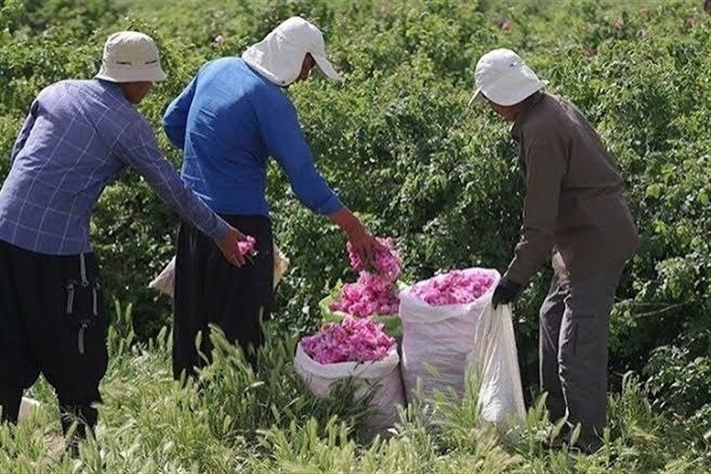 اخبار استان چهارمحال و بختیاری , اخبار شهرکرد , 